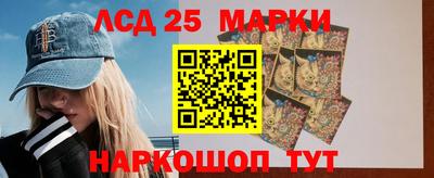 гидра Новодвинск