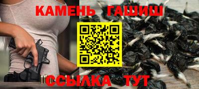 гидра Новодвинск