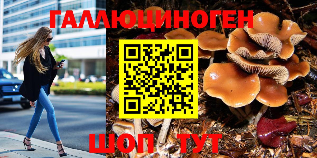 Псилоцибиновые грибы мухоморы Заринск